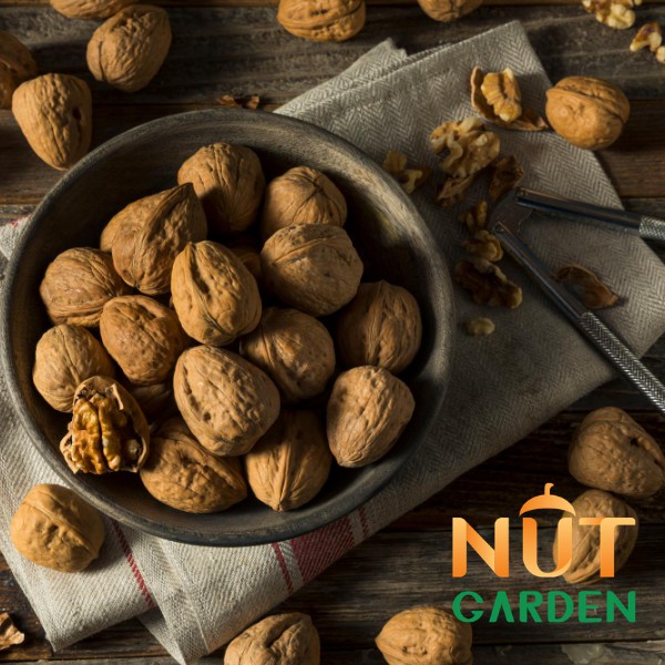Nhân Hạt Óc Chó Nut Garden - NK USA/Chile - Sản phẩm cực tốt dành cho bà bầu và người lớn tuổi - 200gr, 400gr | BigBuy360 - bigbuy360.vn