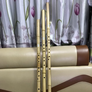 Tiêu sáo (free ship)
