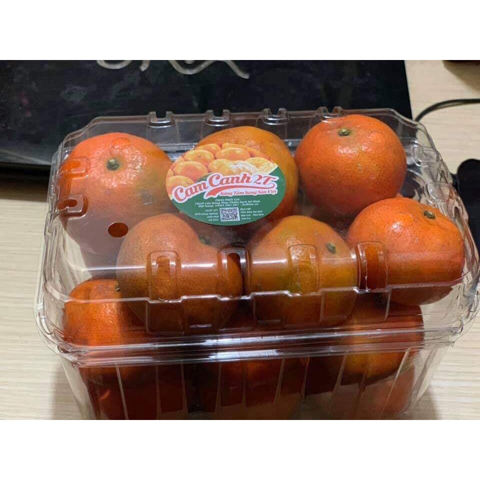 Hộp nhựa đựng trái cây 1kg P1000b