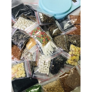 Phô Mai Viên Ăn Dặm Cho Hamster
