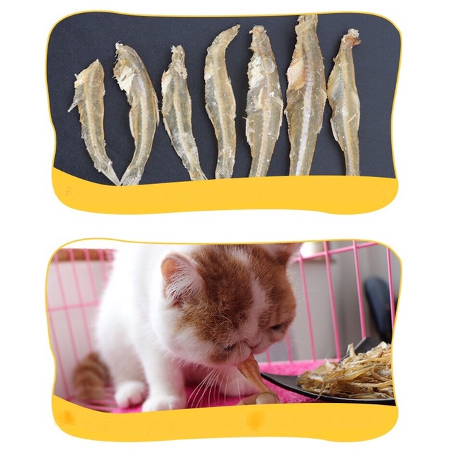 CÁ SẤY KHÔ ĐỒ ĂN VẶT CHO THÚ CƯNG LOẠI CAT PROFESSOR