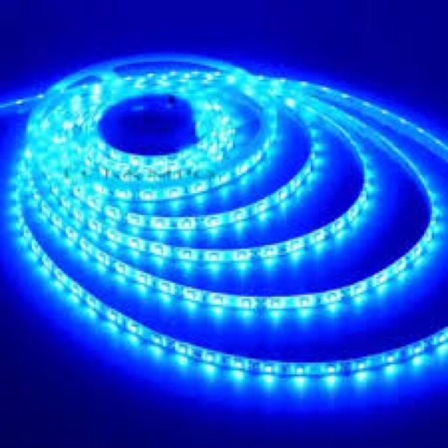 Led dây dán 5050 đơn màu