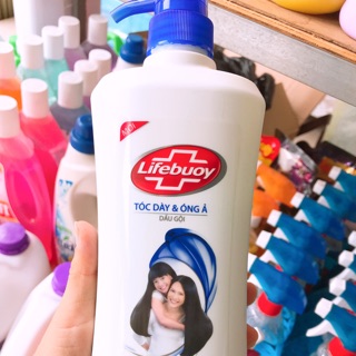 Dầu gội Lifebuoy 640g ( 621ml)