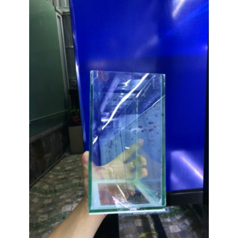 [ 10 - 15 - 18 ]Hồ kính mini , hồ betta , keo betta ,  hồ show cá