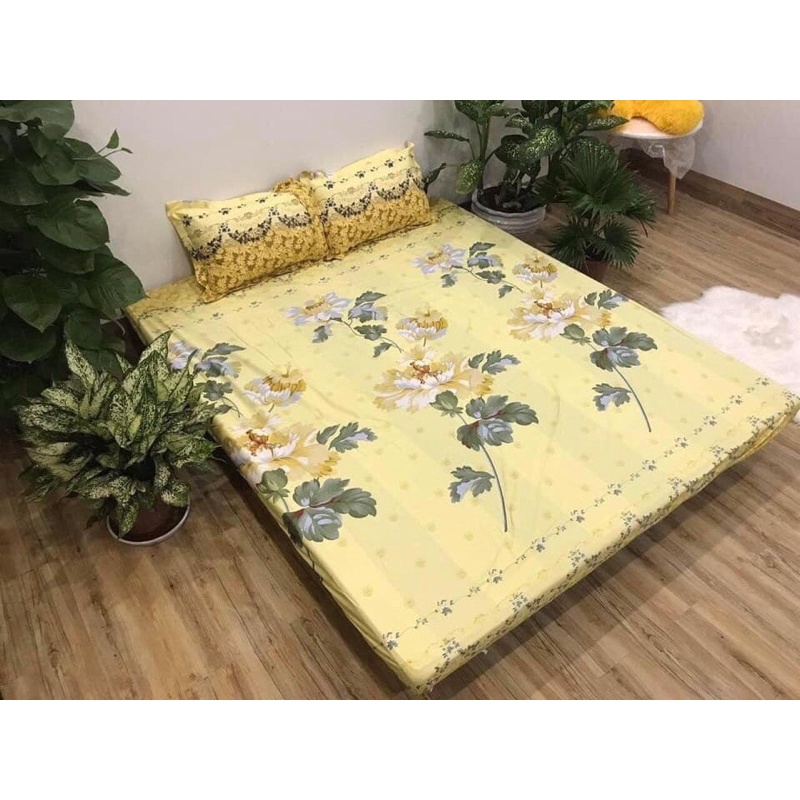 [Freeship] Bộ ga chun chăn hè kèm 2 vỏ gối (tặng kèm 1 vỏ gối ôm) | BigBuy360 - bigbuy360.vn