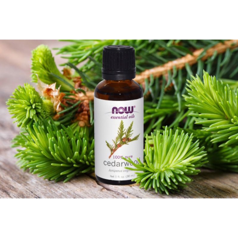 Tinh Dầu Gỗ Cây Tuyết Tùng (Hoàng Đàn) Now Foods Essential Oils Cedarwood 30ml