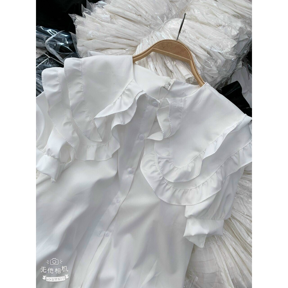 áo kiểu hàn quốc, áo sơ mi cổ bèo | BigBuy360 - bigbuy360.vn