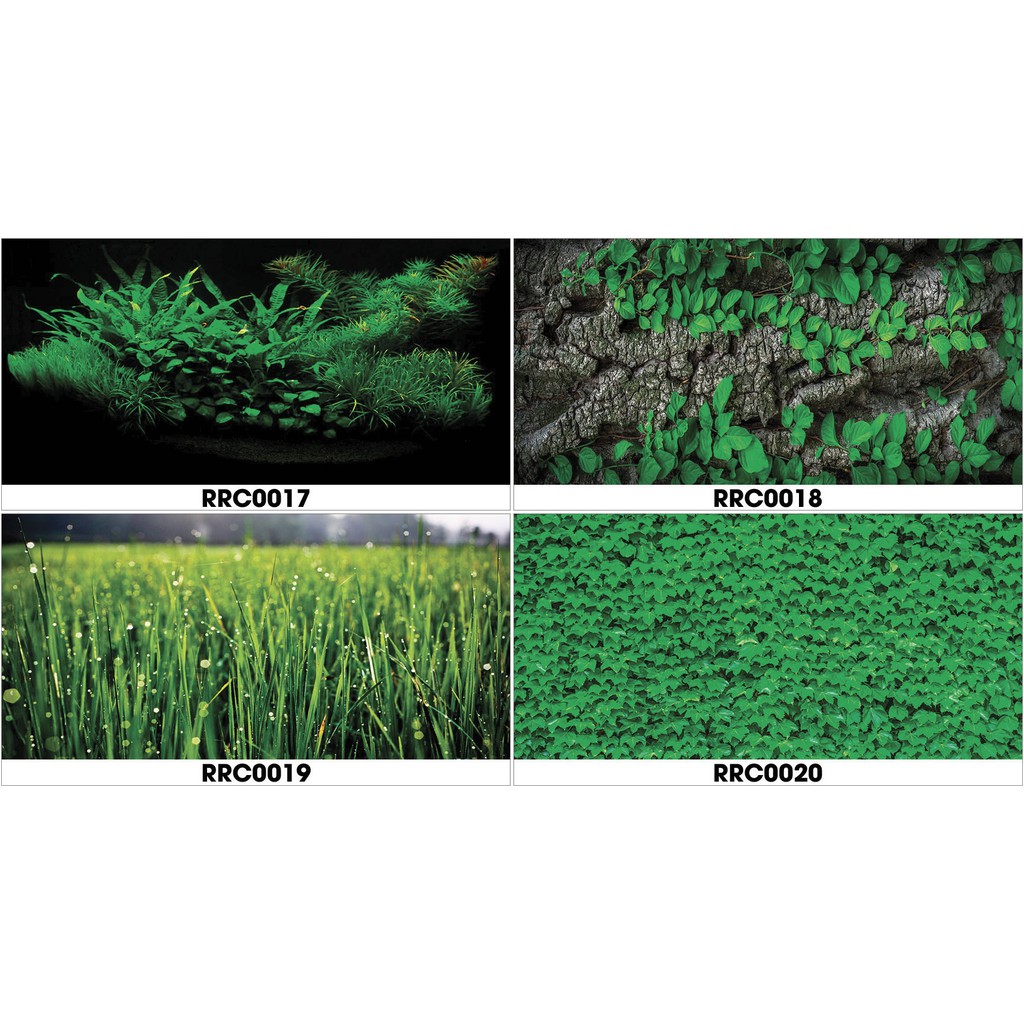 Tranh hồ cá RRC hình rong rêu cỏ lá có keo sẵn