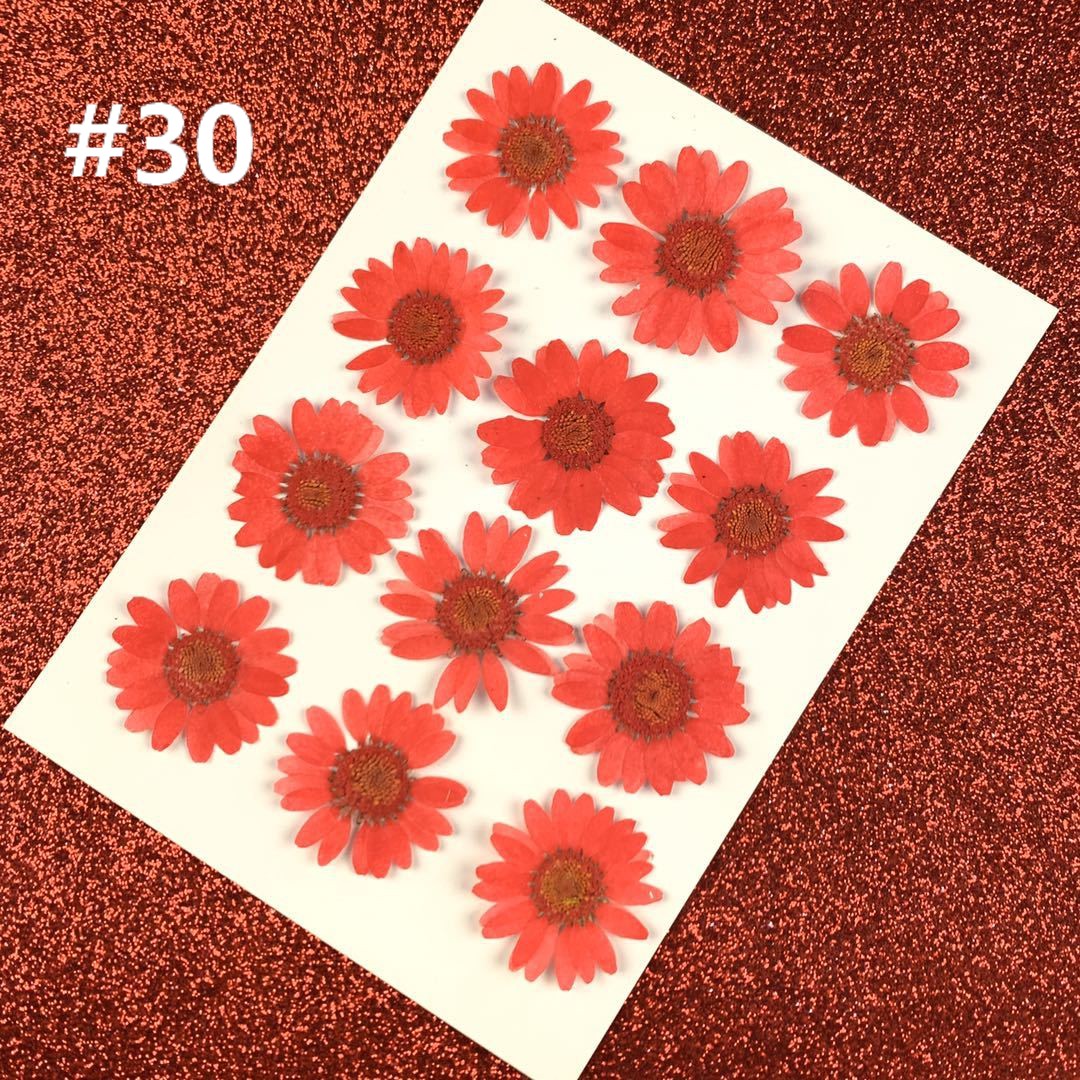 HANDMADE Miếng Dán Hoa Cúc Trắng Trang Trí Xinh Xắn | BigBuy360 - bigbuy360.vn