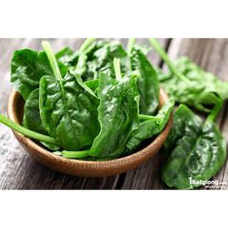 5GR - HẠT GIỐNG CẢI BÓ XÔI