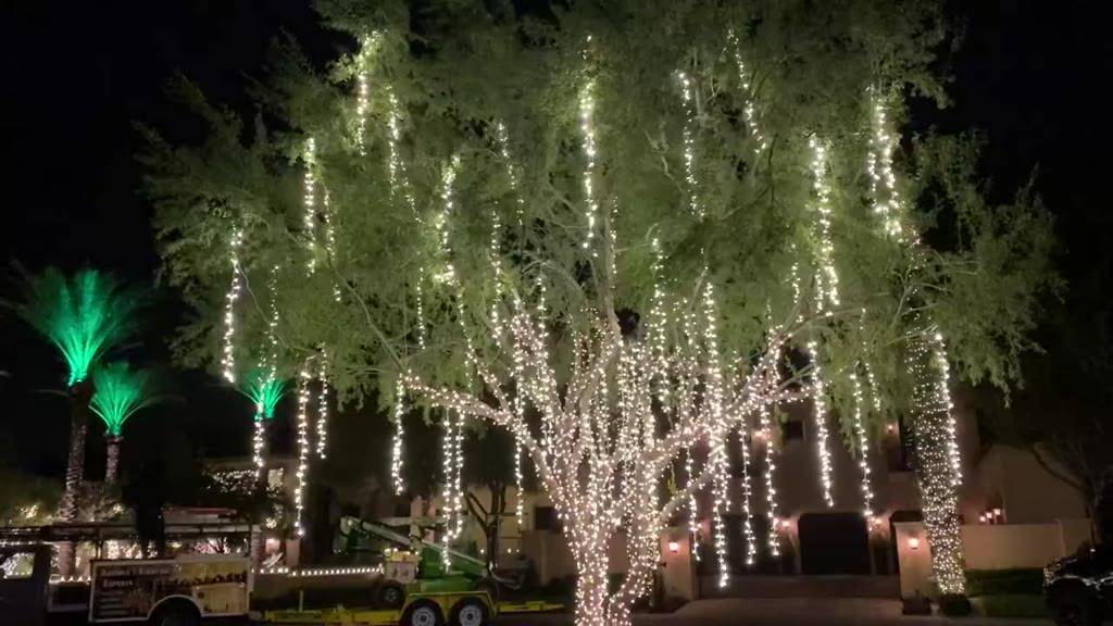 [ BẢO HÀNH ] Led đúc Led Hạt Đèn Nháy Quấn Cây Đèn Nháy Trang Trí Ngoài Trời Trong Nhà Chịu Mưa Chịu Nắng | BigBuy360 - bigbuy360.vn