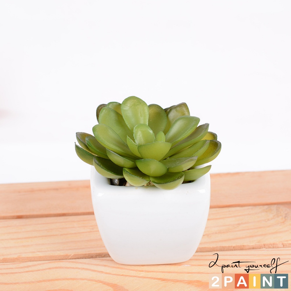 Sen đá mini kèm chậu trắng, cây giả decor phong cách Hàn Quốc