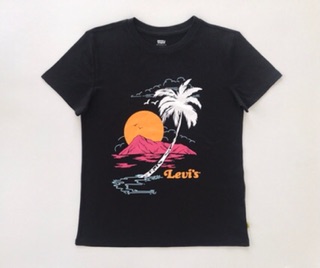 🔆🔆 ÁO THUN NỮ BASIC TSHIRT LEVIS VNXK