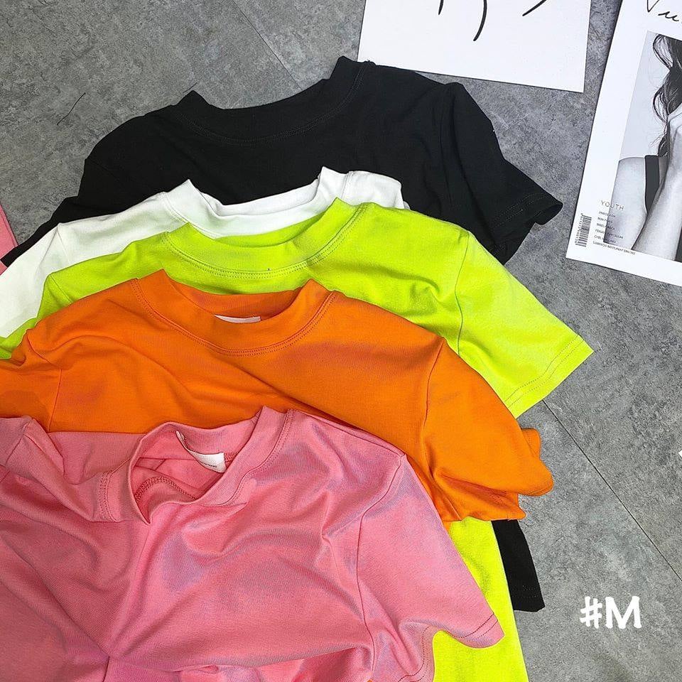 SET 3 ÁO THUN NỮ TRƠN CỔ TRÒN ĐƠN GIẢN, XINH XẮN | BigBuy360 - bigbuy360.vn