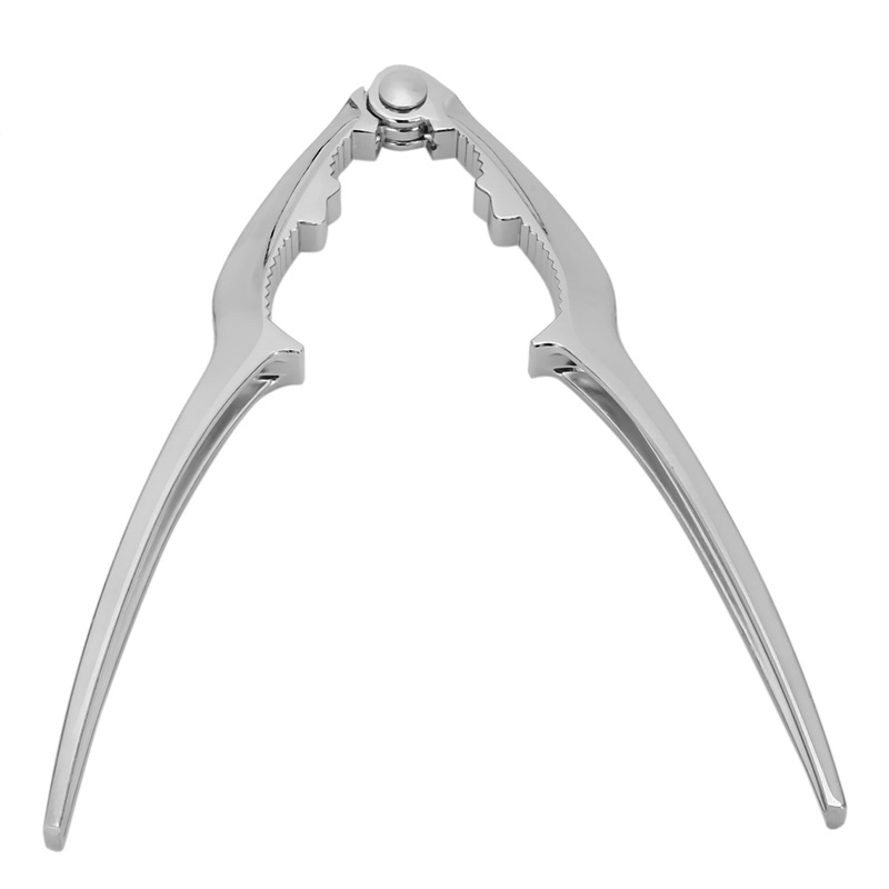 Bộ 14 Dụng Cụ Định Vị Tôm Hùm Bằng Thép Không Gỉ