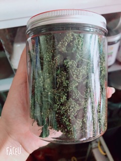 NỤ HOA TAM THẤT 100G