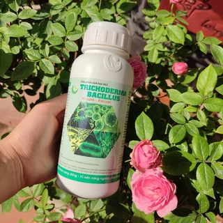Chế phẩm sinh học TRICHODERMA