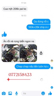 RONG BIỂN LÝ SƠN 500g