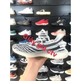 Giày thể thao yz sneaker vằn ngựa
