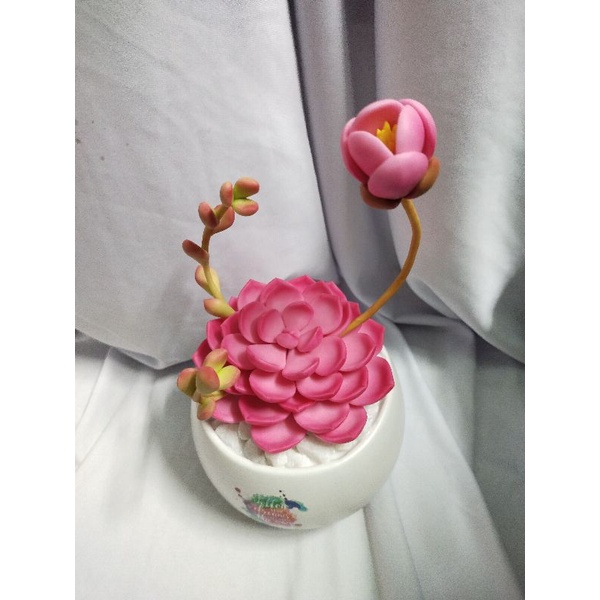 Chậu sen đá đất sét