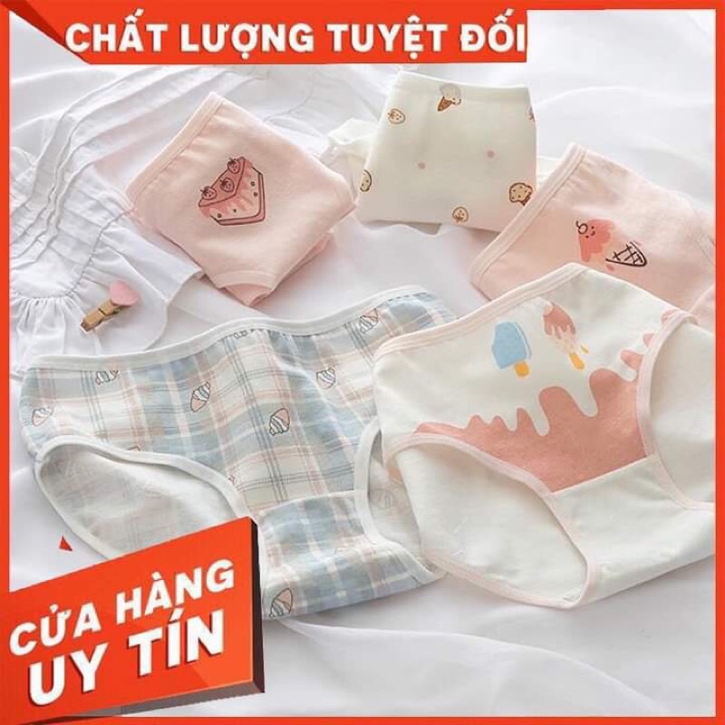 Set 5 Quần Chip Cotton - Co Dãn Thoải Mái - Dễ Dàng Vệ Sinh Giặt Giũ - Kháng Khuẩn - Có Thể Làm Quà Tặng