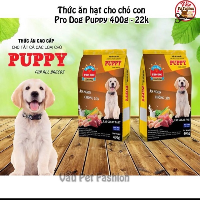 Thức ăn cho chó