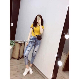 Áo phông cổ guc