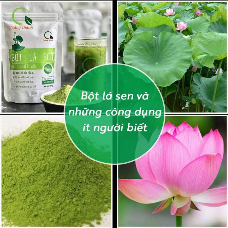 BỘT LÁ SEN QUẢNG THANH – Dùng cho người bị mất ngủ, mỡ máu, mỡ tạng, giảm cân (100g)