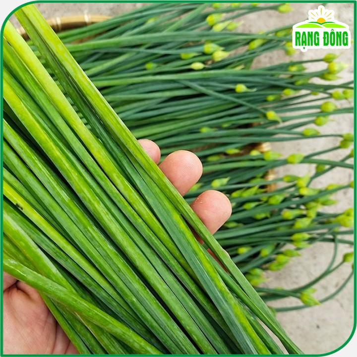 Hạt Giống Hẹ Ăn Bông Dễ trồng 1gr