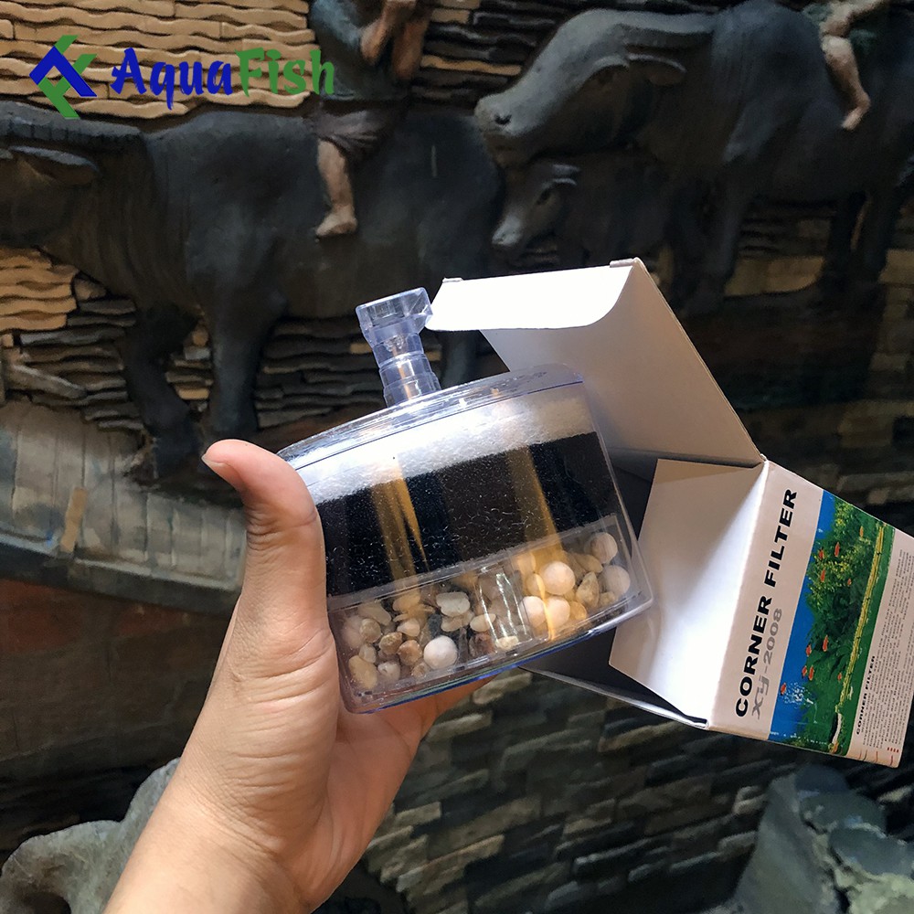 Lọc Vi Sinh XY 2008 (dụng cụ lọc chuyên dụng cho cá 7 màu)