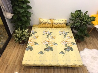 Sét 3 món ga gối cotton poly giá siêu rẻ