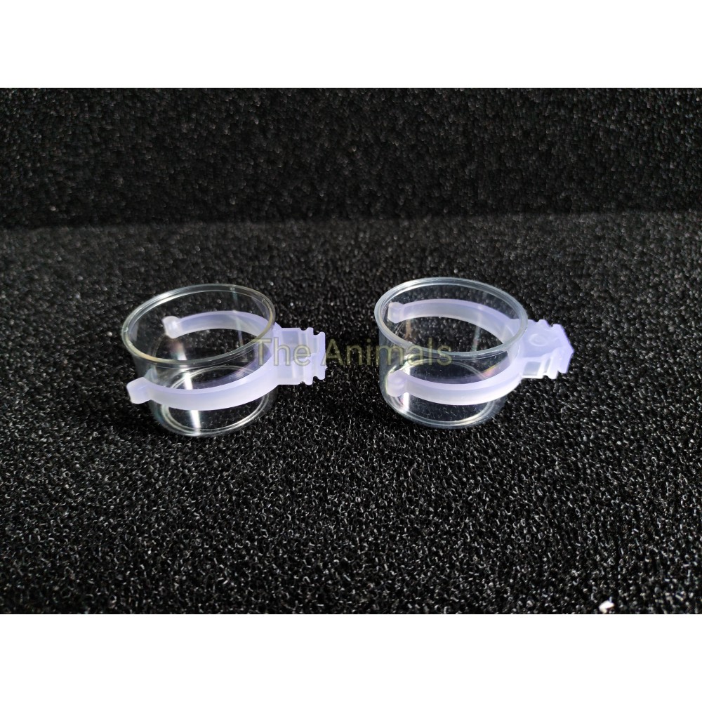 [1 cặp] Cóng đựng nước uống cho chim chào mào, chim khướu, chim khuyên