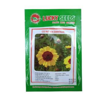 Bán buôn Hạt giống hoa cúc mắt rắn dễ trồng bao đẹp