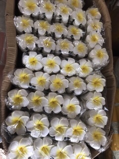 Hoa đại cài tóc