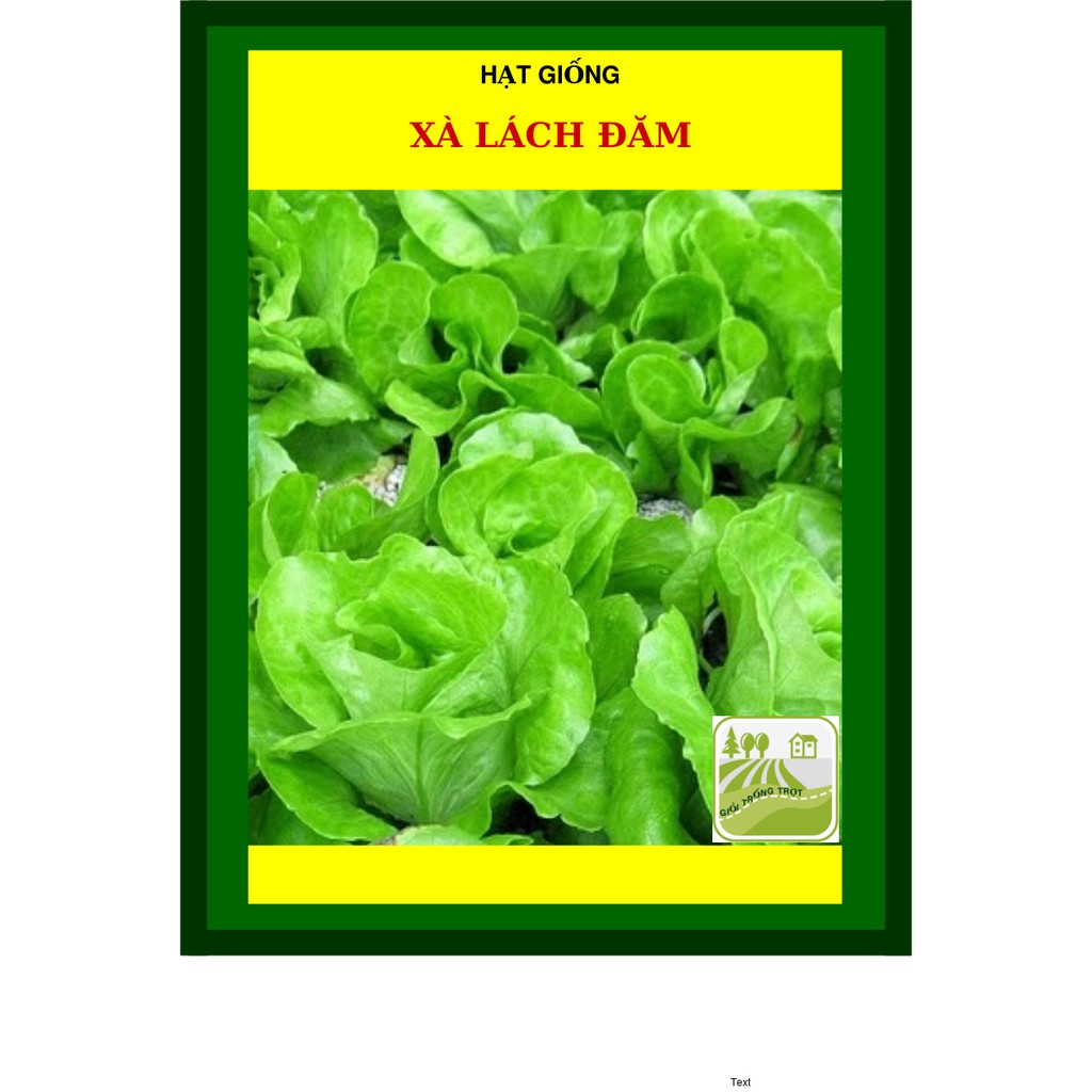 Hạt Giống Xà Lách Đăm, Đỏ Xoăn, Xà Lách Mixed, Romain Tím 2 Gram