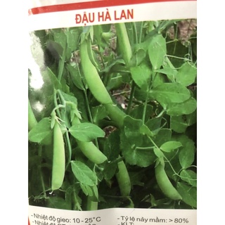Hạt giống Đậu Hà Lan (50 gram) ☘️