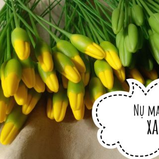 Nụ mai vàng xanh