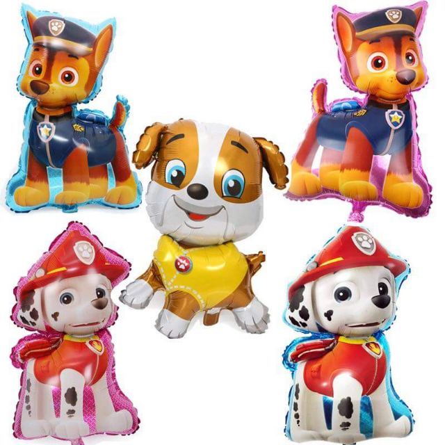 Chú chó cứu hộ