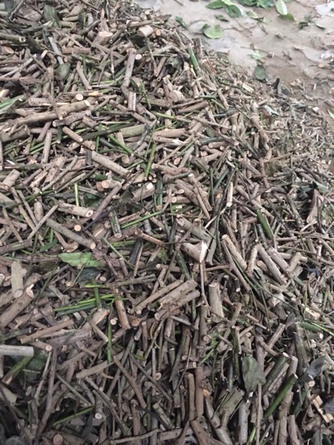 Combo 5kg Xạ đen hoà bình | BigBuy360 - bigbuy360.vn