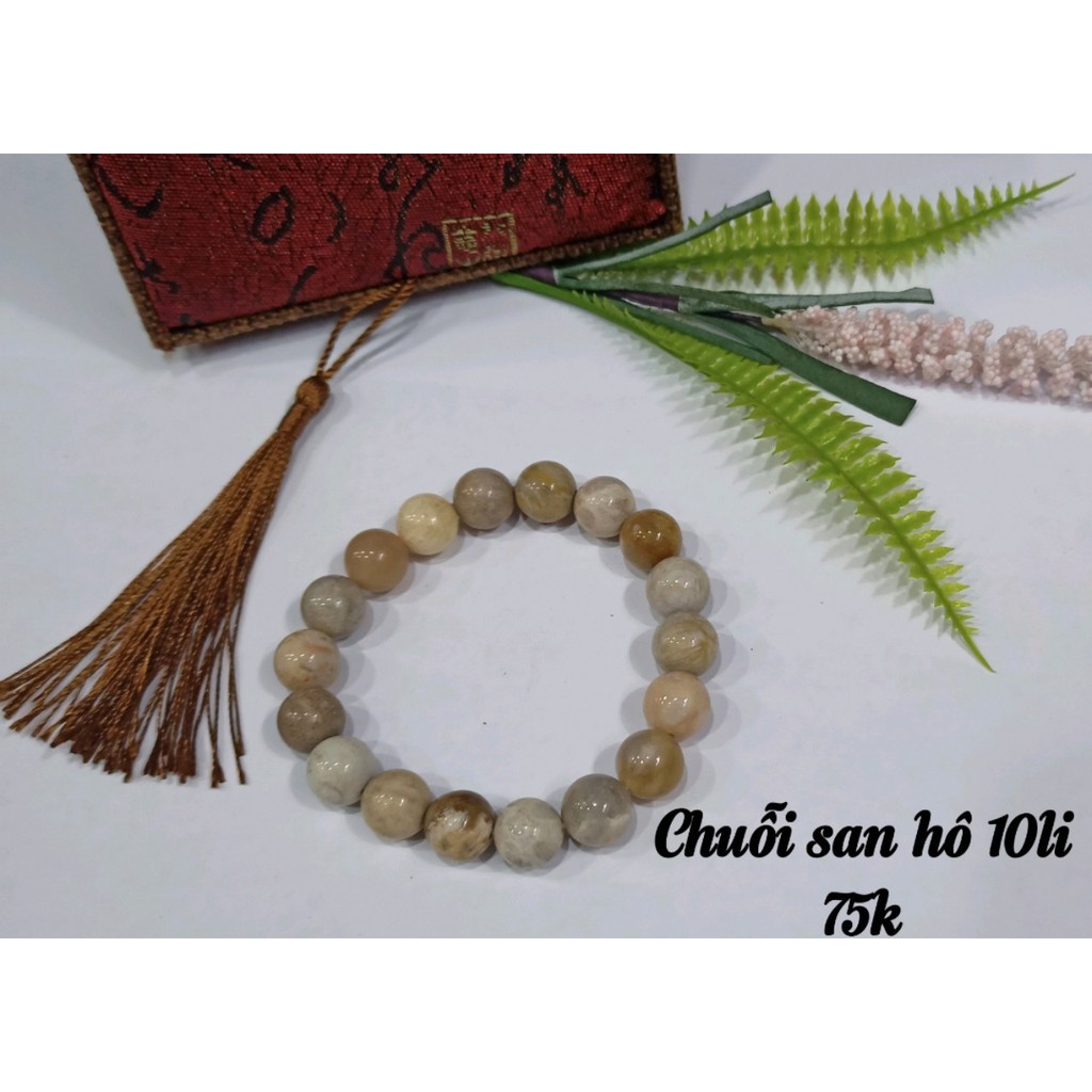 Chuỗi San Hô