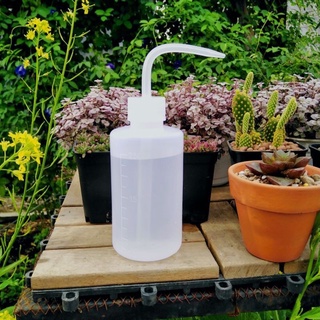 Bình tưới sen đá 500ml