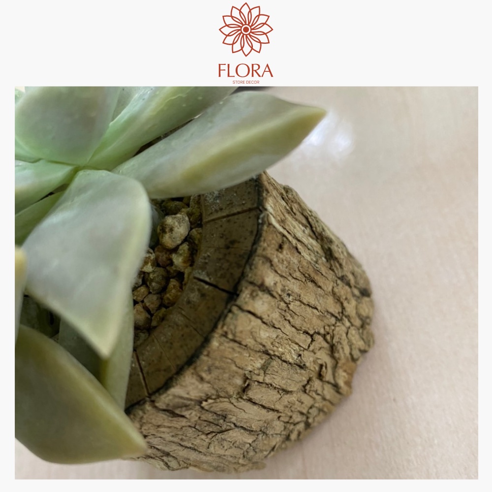 Chậu khúc gỗ tự nhiên dùng trồng cây sen đá tiểu cảnh  đế nến decor trang trí vintage FLORA DECOR