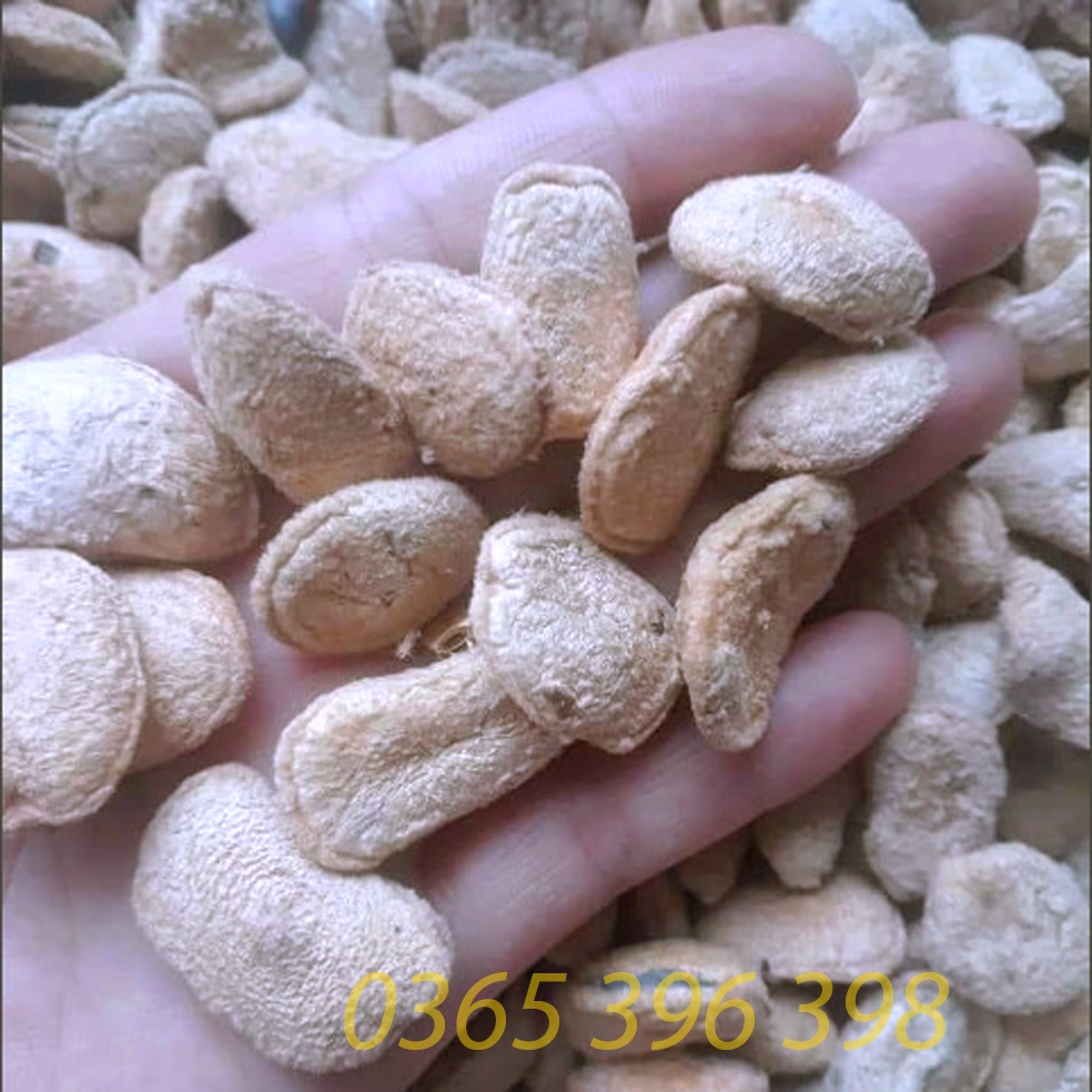 Hạt sành, hạt sang, hạt già ruật trắng hỗ trợ đau dạ dày, 1 gói