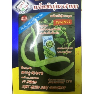 Hạt giống dưa chuột rắn nhập khẩu thái lan nguyên bao bì