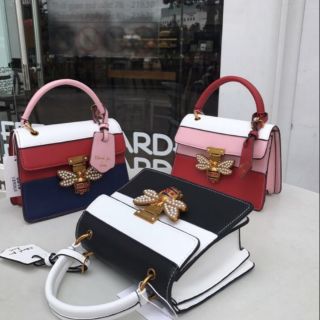 Combo túi trang trần