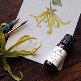 Tinh dầu ngọc lan tây 10ml