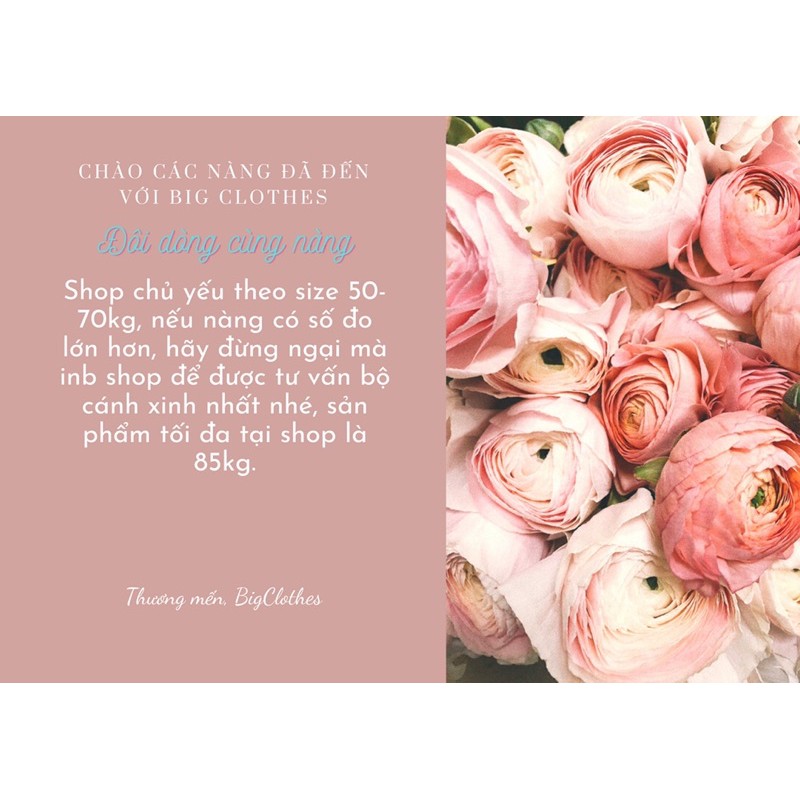 Đầm váy bigsize BigClothes thiết kế tay bồng ren dáng công sở BC021