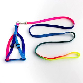 Dây Dắt Chó Mèo, Dây Dắt và yếm ngực, đai ngực cầu vồng dành cho chó mèo
