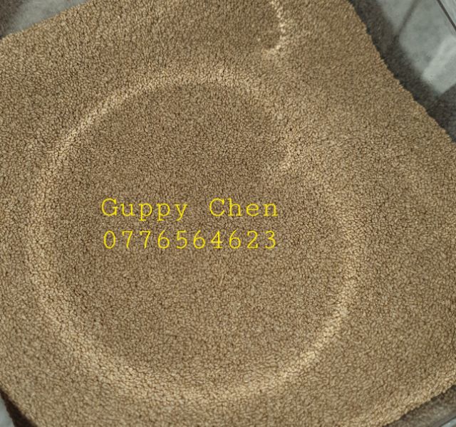 Cám MeM GOLD nhập khẩu hàm lượng dinh dưỡng cao cho cá cảnh