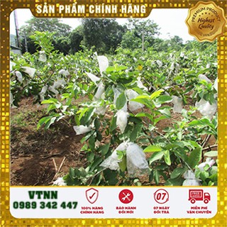 [FREESHIP_99K] TÚI BỌC TRÁI CÂY BƠ, ỔI, XOÀI SÉT 100 TÚI CÓ DÂY RÚT 18x20CM VẢI KHÔNG DỆT